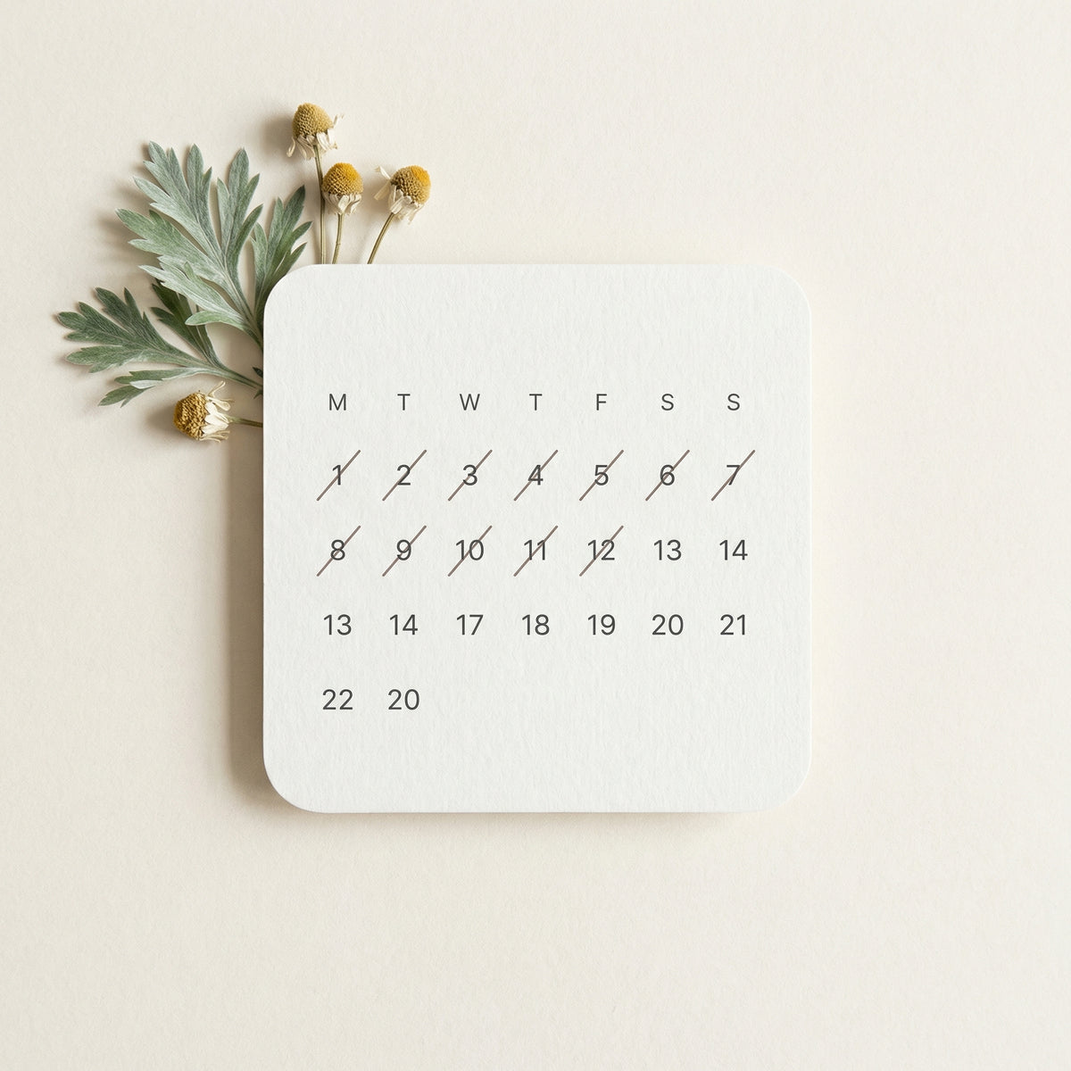A minimalist monthly calendar print with days of the week in a grid, photographed on a light cream background with dried green leaves and small yellow flowers beside it.